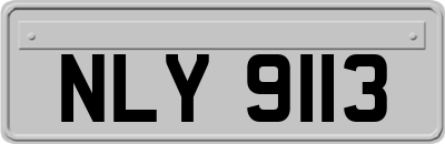 NLY9113