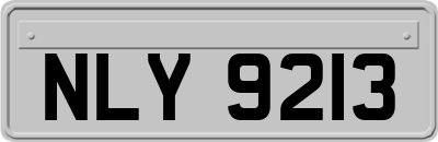 NLY9213