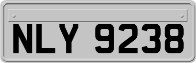 NLY9238