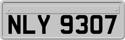 NLY9307