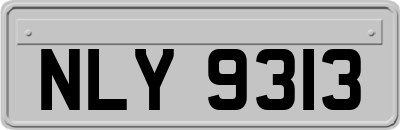 NLY9313