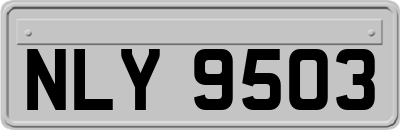 NLY9503