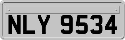 NLY9534