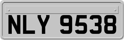 NLY9538