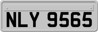 NLY9565