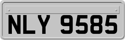 NLY9585