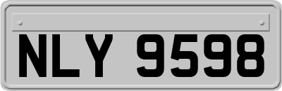 NLY9598