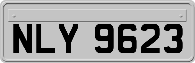 NLY9623
