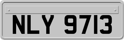 NLY9713