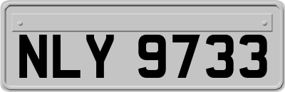 NLY9733
