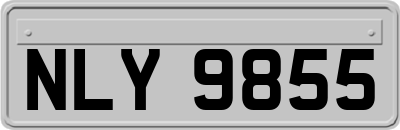 NLY9855
