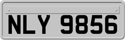 NLY9856