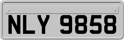NLY9858