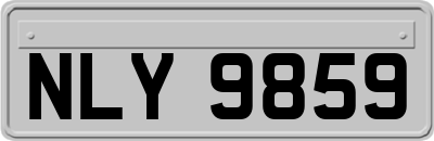 NLY9859