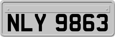 NLY9863