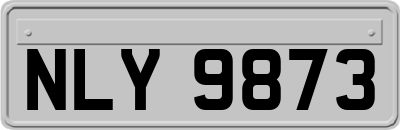 NLY9873