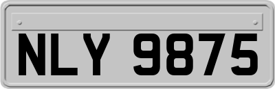 NLY9875