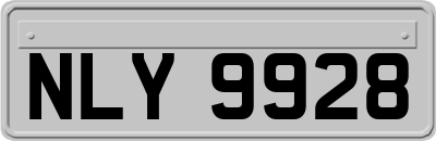 NLY9928