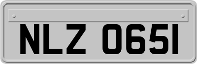 NLZ0651