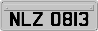 NLZ0813