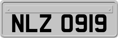 NLZ0919