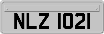 NLZ1021