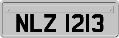 NLZ1213