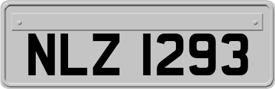 NLZ1293