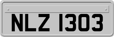 NLZ1303