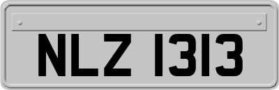 NLZ1313