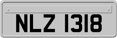 NLZ1318