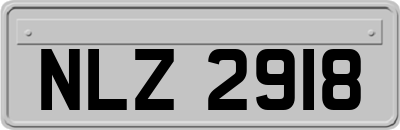 NLZ2918