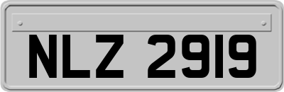 NLZ2919