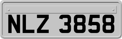 NLZ3858