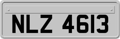 NLZ4613
