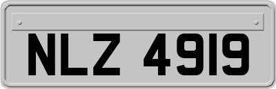 NLZ4919