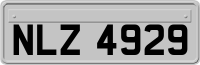 NLZ4929