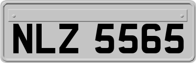 NLZ5565