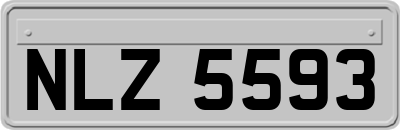 NLZ5593