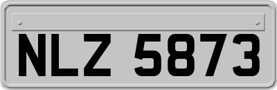 NLZ5873