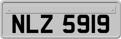 NLZ5919