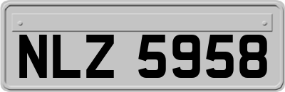 NLZ5958