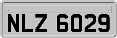NLZ6029