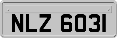 NLZ6031