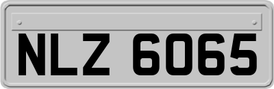 NLZ6065