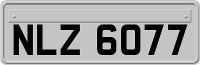 NLZ6077