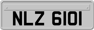 NLZ6101