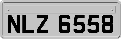 NLZ6558