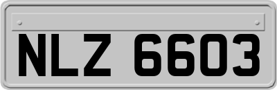 NLZ6603