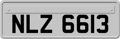 NLZ6613